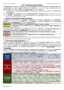TEMA 3 CIVIL IV.pdf