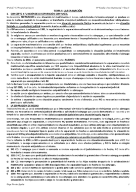 TEMA 5 CIVIL IV.pdf