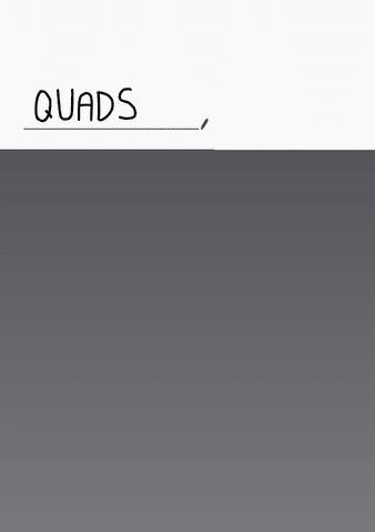 quads.pdf