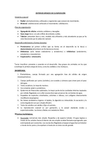 tema 7-poríferos y cnidarios.pdf