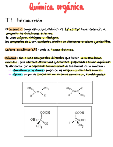 T7-Organica.pdf