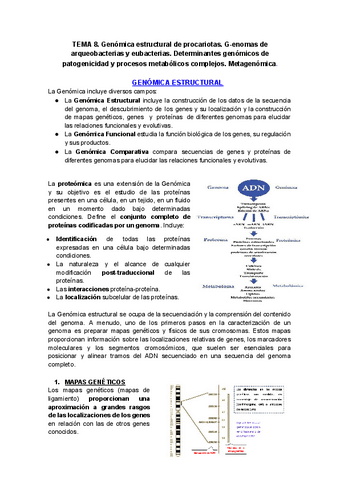 Tema-8.pdf
