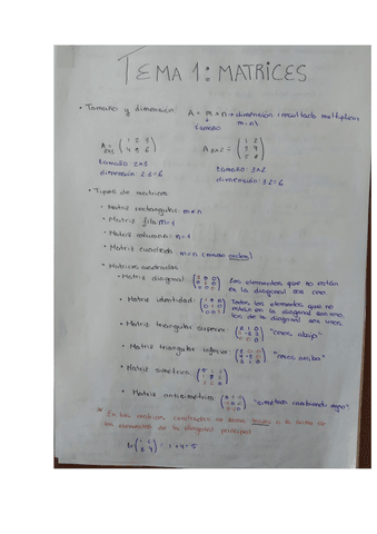 tema1.pdf