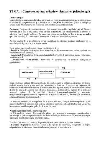 Apuntes-Fundamentos-tema-1-4.pdf