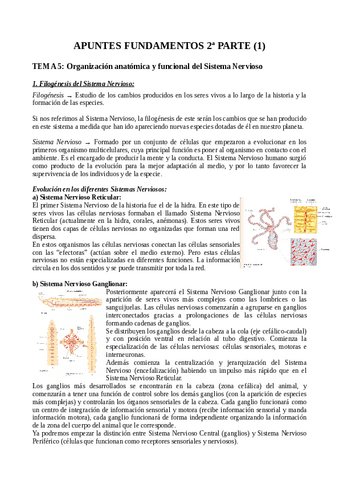 Apuntes-Fundamentos-(tema 5-7).pdf