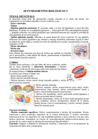 Apuntes-Fundamentos-Tema-8-11.pdf