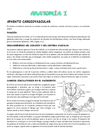 2do-parcial-Anatomia-I.pdf