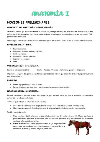 1er-parcial-Anatomia-I.pdf
