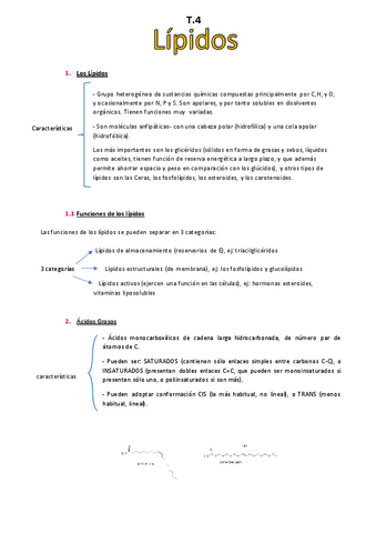 T.4-Los-Lipidos.pdf