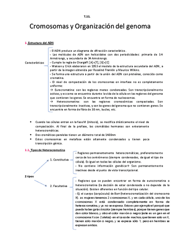 Tema-11.-Cromosomas-y-Organizacion-del-genoma.pdf
