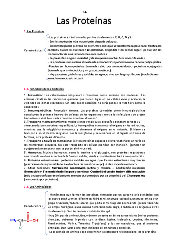 T.3.pdf