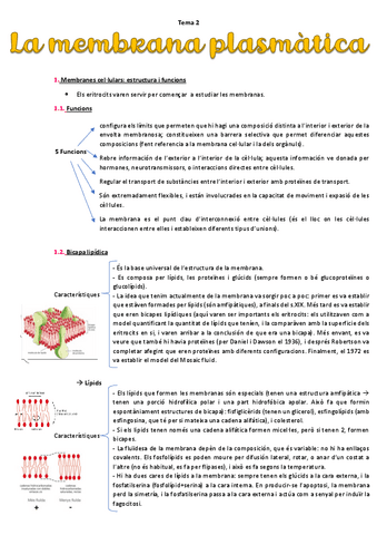 Tema-2-La-membrana-plasmatica.pdf