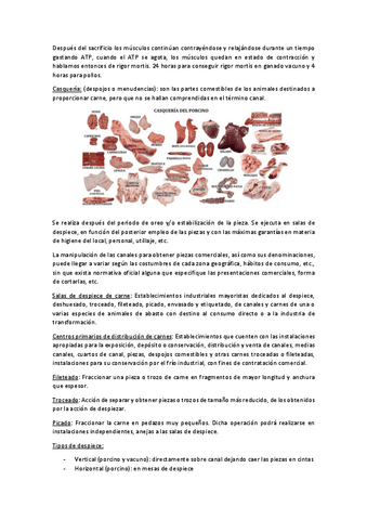 6.3-Salas-de-despiece.pdf