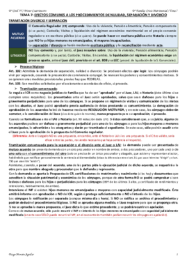 TEMA 7 CIVIL IV.pdf