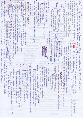 REALISMO-y-NATURALISMO.pdf