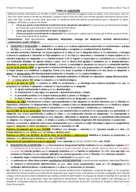 TEMA 14 CIVIL IV.pdf