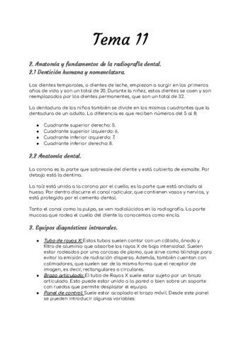 Tema-11-radiologia-especial.pdf