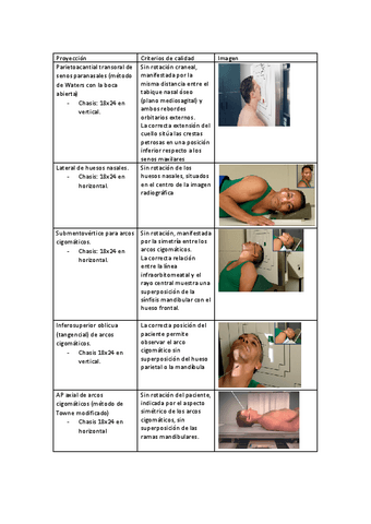 tema-14-radiologia-simple.pdf