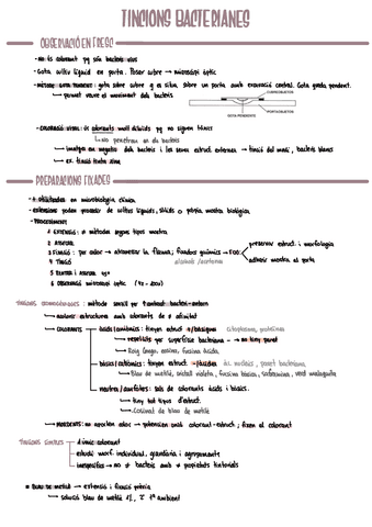 MICRO t2_tecn-tincio-i-observaciotincion.pdf