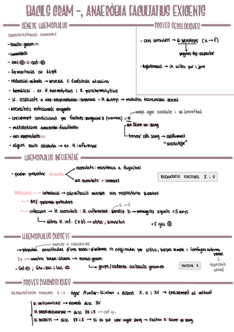 MICRO t4_BGN AF-exigents.pdf