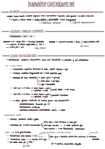 MICRO-t4-BGN-diagnostic-enterobacteris.pdf