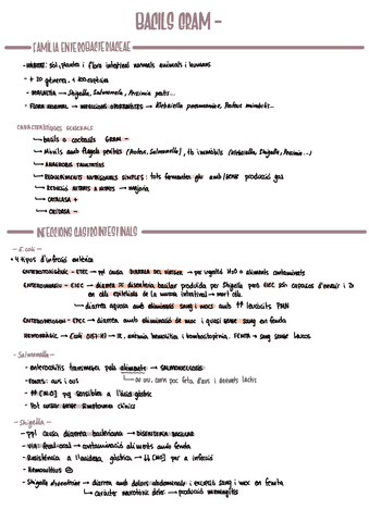 MICRO-t4-BGN-enterobacteris.pdf