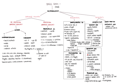 MICRO-t4-BGN-esquema.pdf