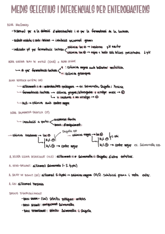 MICRO-t4-BGN-medis-selectius-i-diferencials-enterobacteris.pdf