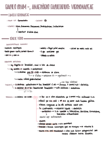 MICRO-t4-BGN-vibrio.pdf