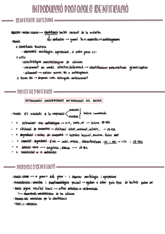 MICRO-t4-introduccio-protocols.pdf