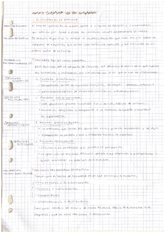 Tema-3.-Entorno-de-la-empresa.pdf