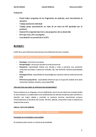 Salud-Mental-pdf.pdf