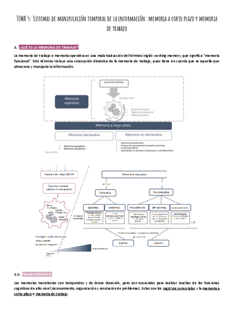 TEMA-5-Sistemas-de-manipulacion-temporal-de-la-informacion.pdf