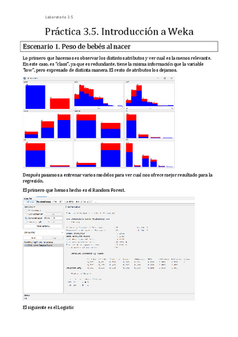 Inteligencia-Practica-3.5.pdf