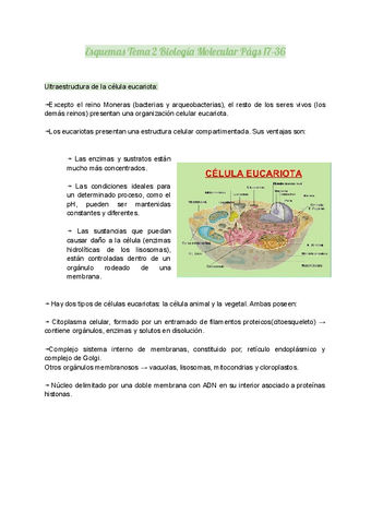 Esquemas-Tema-2-Biologia-Celular-Pags-17-36.pdf