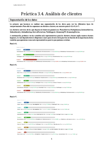 Inteligencia-Practica-3.4.pdf