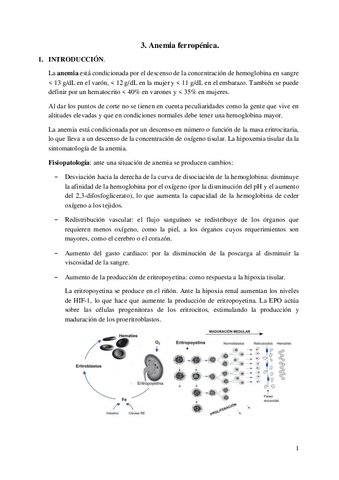 3.-Anemia-ferropenica.pdf