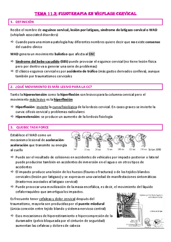 Tema-11.3-Fisioterapia-en-whiplash-cervical.pdf