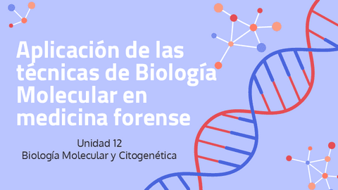 12.-Aplicacion-de-las-tecnicas-de-Biologia-Molecular-en-medicina-forense.pdf
