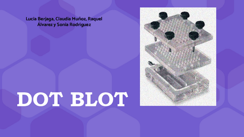 8.-Trabajos-Tecnicas-de-hibridacion.pdf