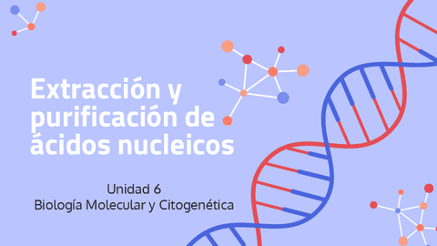 6.-Extraccion-y-purificacion-de-acidos-nucleicos.pdf