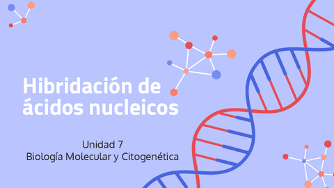 7.-Hibridacion-de-acidos-nucleicos.pdf