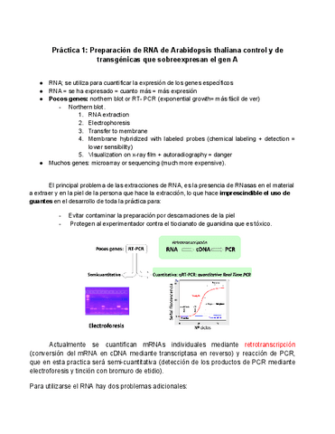 Practicas-resumen-y-preguntas.pdf