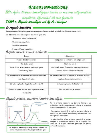 RA1-TEMAS-1-2-3-Y-4.pdf