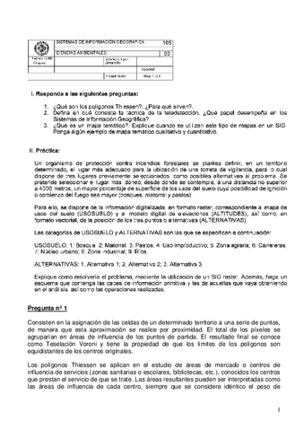 Examen-resuelto-SIG-ano-2008-Febrero-1o-Semana.pdf