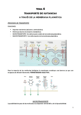 TEMA-4-Biologia-celular.pdf