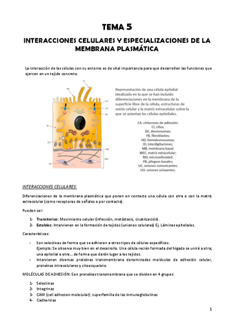 TEMA-5-Biologia-celular.pdf