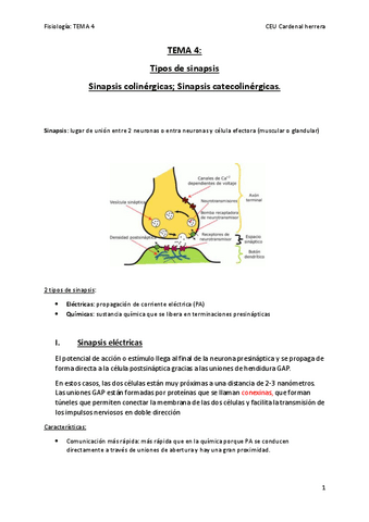 tema-4-fisio.pdf