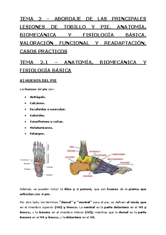 Tema-2-Abordaje-de-las-principales-lesiones-de-tobillo-y-pie.pdf