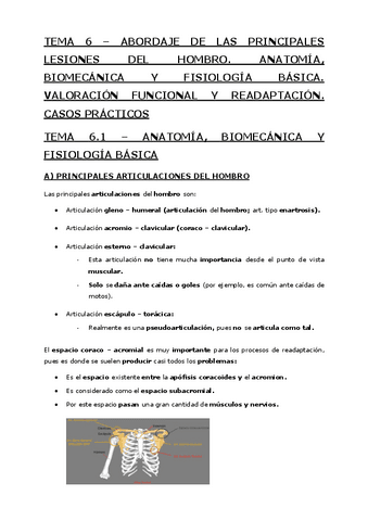 Tema-6-Abordaje-de-las-principales-lesiones-del-hombro.pdf